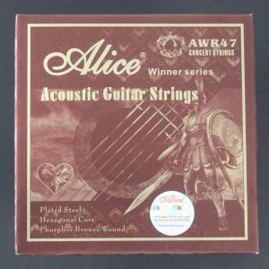 day dan acoustic alice awr47 2