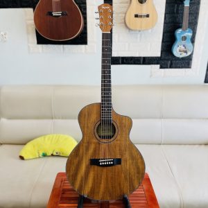 Guitar Tayste gỗ Zebra dáng A khuyết TS-25-40