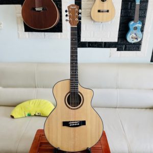 Guitar Tayste mặt Spruce lưng hông Zebra dáng A khuyết TS-24-40 2