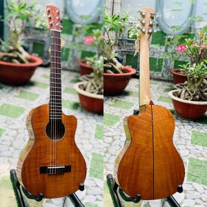 Guitarlele cao cấp gỗ Sồi (Oak) thùng khuyết S-30c
