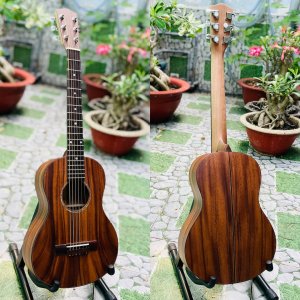 Guitarlele gỗ Điệp nguyên tấm sơn mờ DM-30