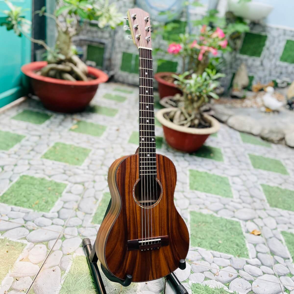Guitarlele gỗ Điệp nguyên tấm sơn mờ DM-30